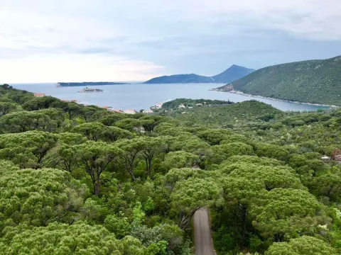 Prodaja, plac, 1046m², Herceg Novi, Crna Gora - image 3