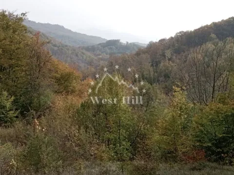 Prodaja, plac, 64000m², Kolašin, Crna Gora - image 4