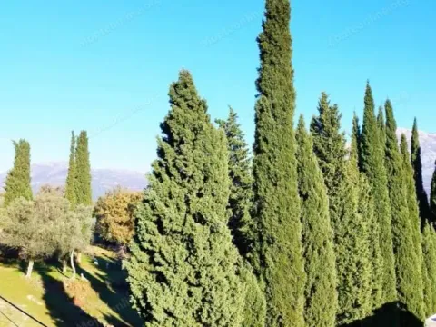 Prodaja, plac, 2391m², Sutorina, Herceg Novi - image 4