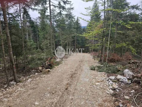 Sale, land lot, 500m², Tara, Srbija - image 9