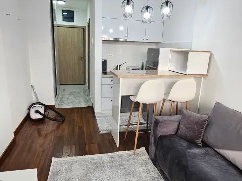 Rent, studio apartment, 30m², Master Kvart, Podgorica - image 3