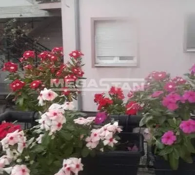 Prodaja, četvorosoban stan, 105m², Zemun Novi Grad, Zemun Sve Podlokacije - image 12