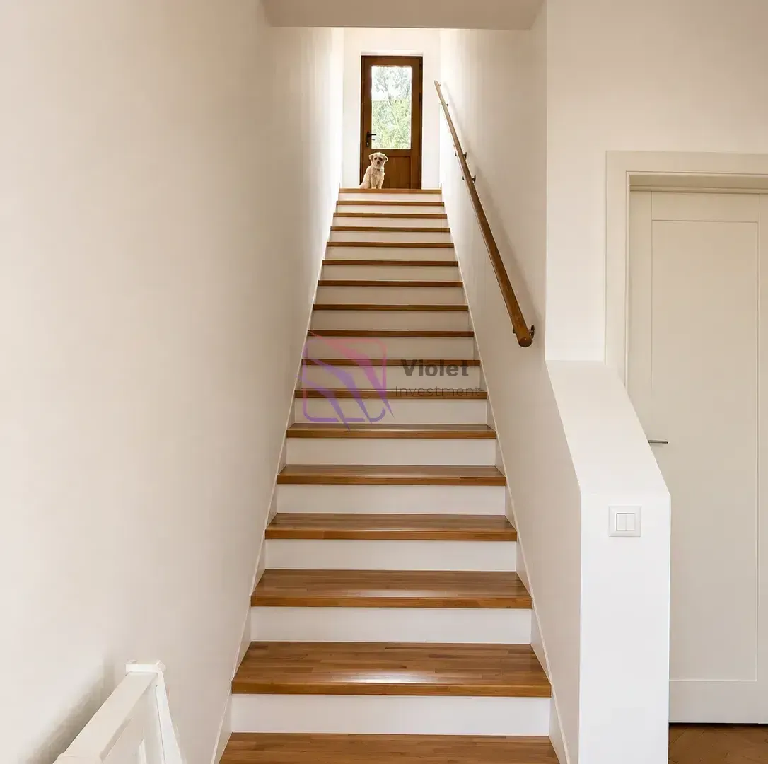 Rent, house, 256m², Masline, Podgorica