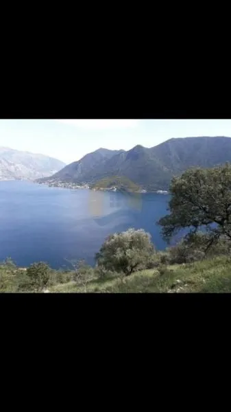 Prodaja, plac, 15000m², Perast, Kotor