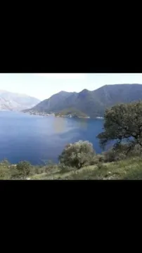 Prodaja, plac, 15000m², Perast, Kotor - image 8