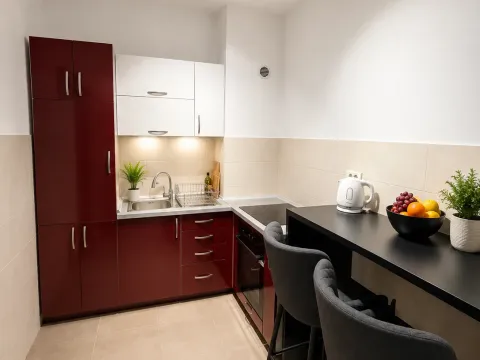 Izdavanje, jednosoban stan, 50m², City Kvart, Podgorica - image 13