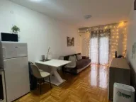 Izdavanje, jednosoban stan, 42m², Budva, Crna Gora - image 4
