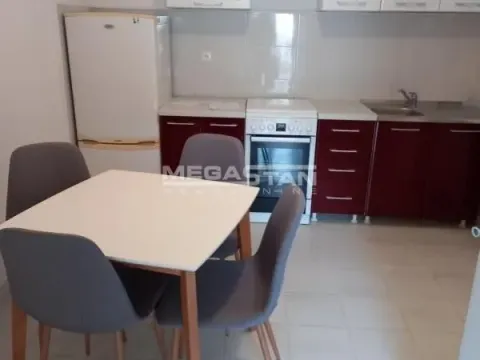 Prodaja, kuća, 490m², Mali Mokri Lug, Zvezdara Sve Podlokacije - image 19
