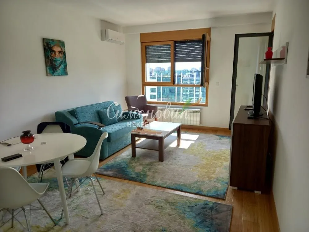 Rent, two bedroom apartment, 58m², Novi Beograd Blok 65, Novi Beograd Sve Podlokacije