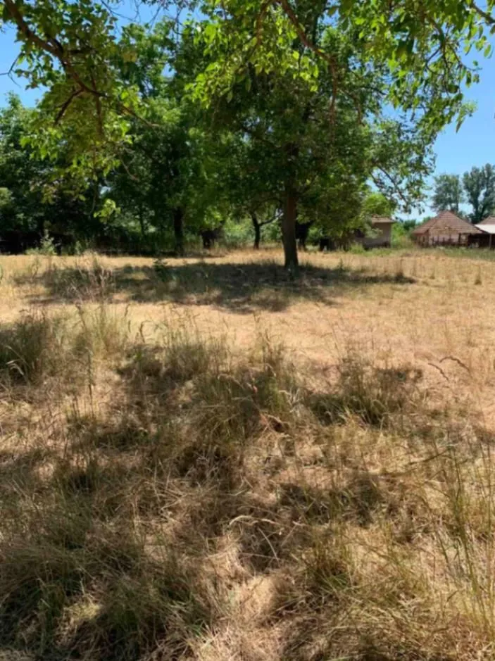 Prodaja, plac, 4730m², Mladenovac, Beograd