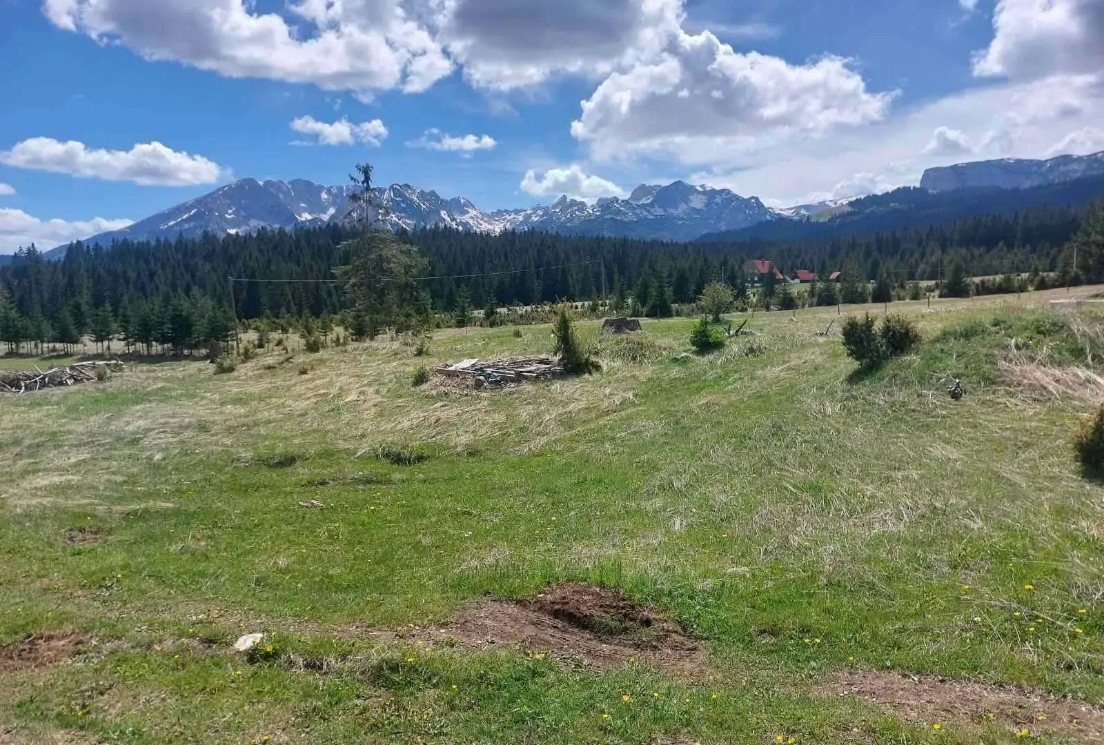Prodaja, plac, 17505m², Žabljak, Crna Gora