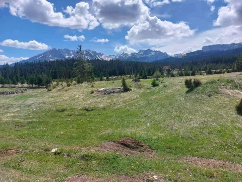 Prodaja, plac, 17505m², Žabljak, Crna Gora - image 5