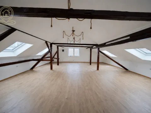 Izdavanje, poslovni prostor, 240m², Sajmište, Novi Sad - image 14