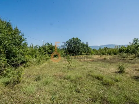 Prodaja, plac, 2100m², Danilovgrad, Crna Gora - image 4