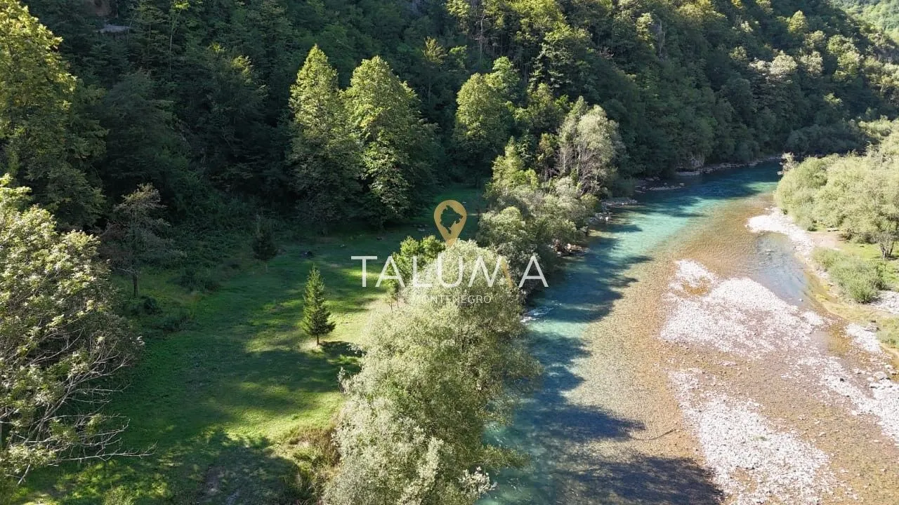 Prodaja, plac, 54000m², Plužine, Crna Gora