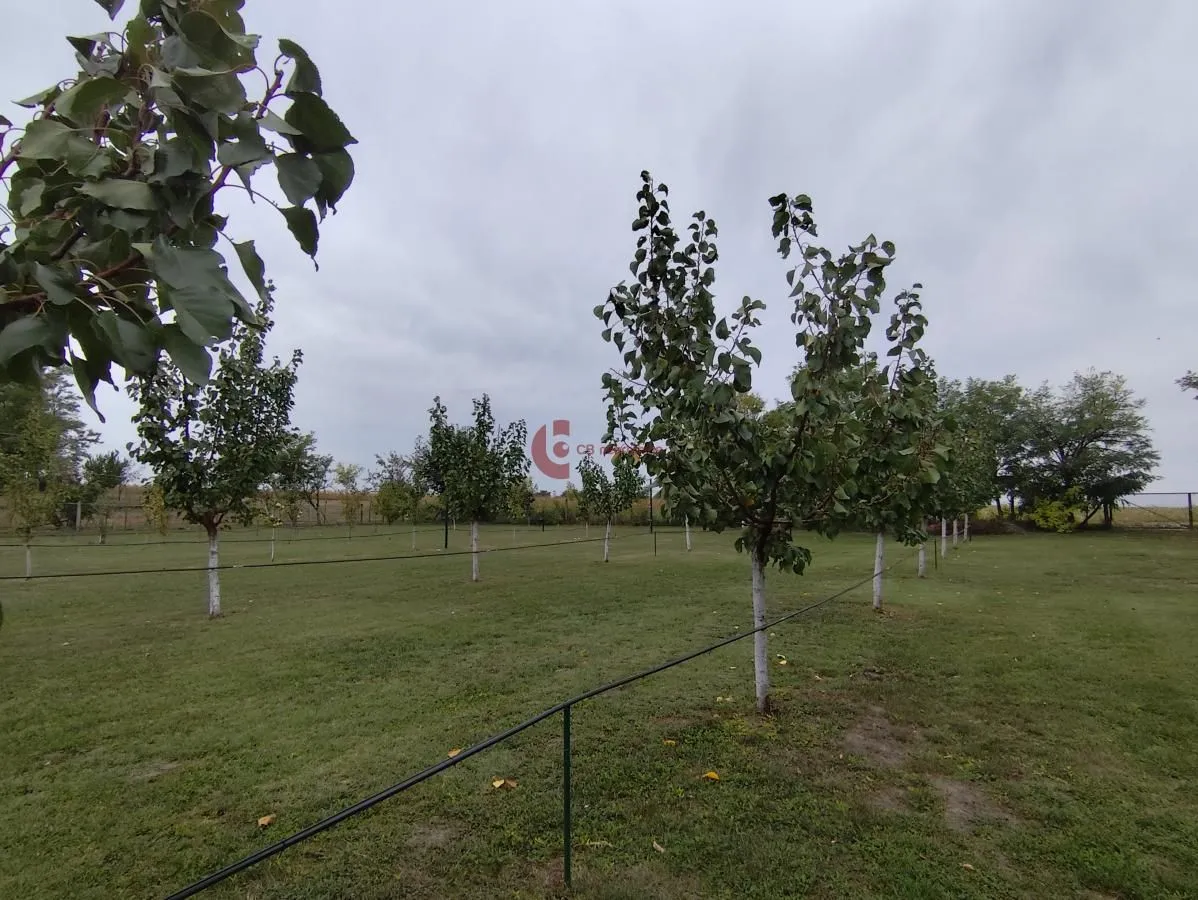 Prodaja, kuća, 183m², Bajmok, Subotica