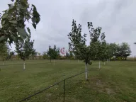 Prodaja, kuća, 183m², Bajmok, Subotica - image 21