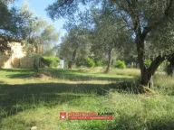 Prodaja, plac, 728m², Čanj, Bar - image 2