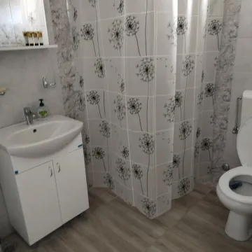 Prodaja, kuća, 205m², Pačir, Bačka Topola - image 19