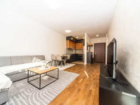 Rent, one bedroom apartment, 48m², Stari Aerodrom, Podgorica - image 3
