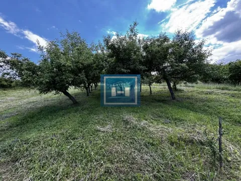 Sale, house, 60m², Majur, Jagodina - image 13