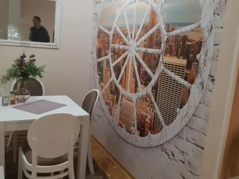 Izdavanje, jednosoban stan, 42m², Novi Sad, Srbija - image 11