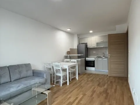 Rent, one bedroom apartment, 38m², Stari Aerodrom, Podgorica - image 1