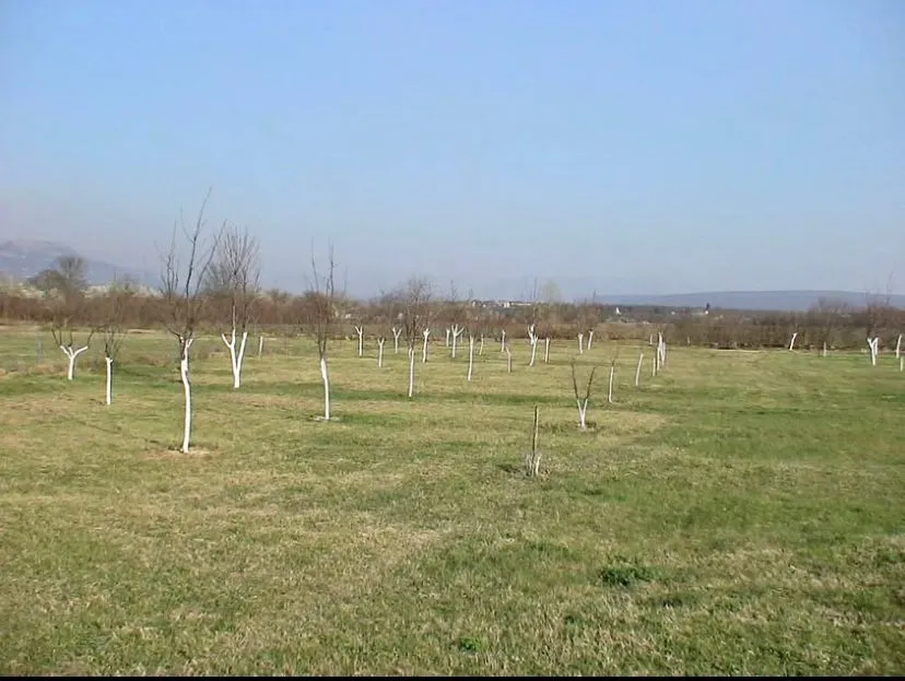 Prodaja, plac, 2000m², Danilovgrad, Crna Gora