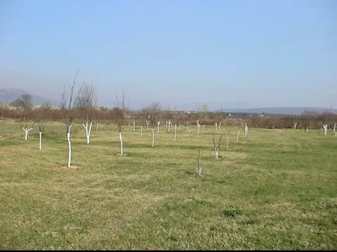 Prodaja, plac, 2000m², Danilovgrad, Crna Gora - image 1