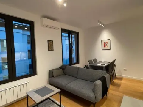 Izdavanje, dvosoban stan, 40m², Stari Grad, Beograd - image 3