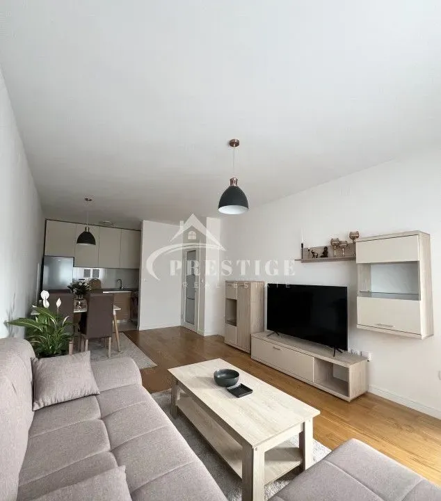 Izdavanje, jednosoban stan, 47m², Central Point, Podgorica