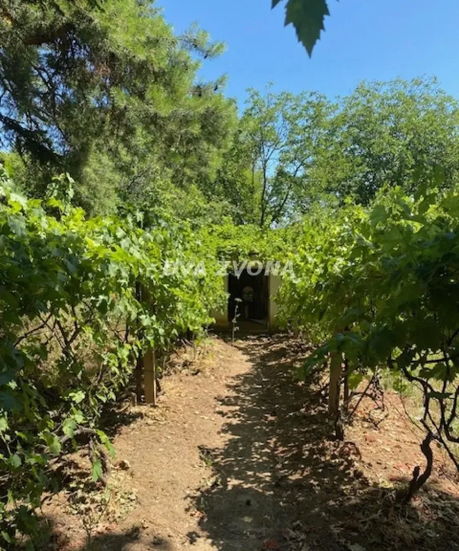Prodaja, kuća, 62m², Čortanovci, Inđija