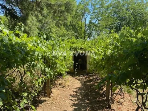 Sale, house, 62m², Čortanovci, Inđija - image 3