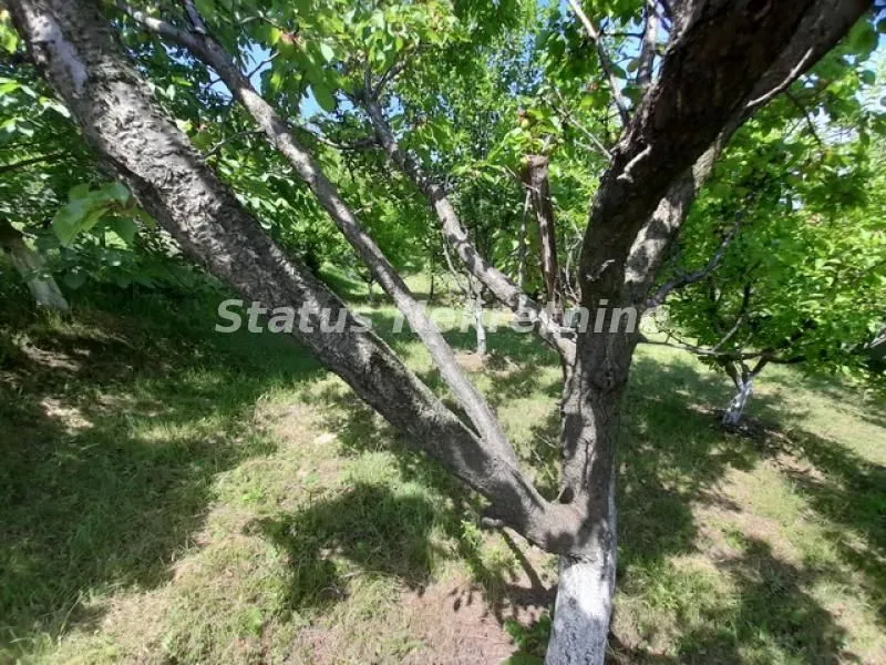 Sale, house, 30m², Beočin, Srbija