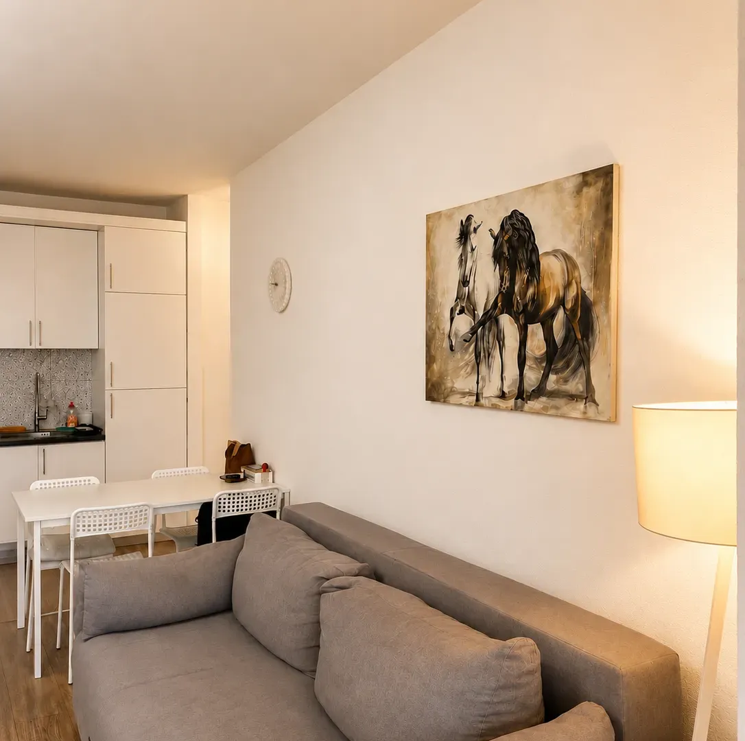 Rent, one bedroom apartment, 45m², Preko Morače, Podgorica