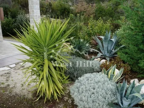 Prodaja, kuća, 201m², Mojdež, Herceg Novi - image 32