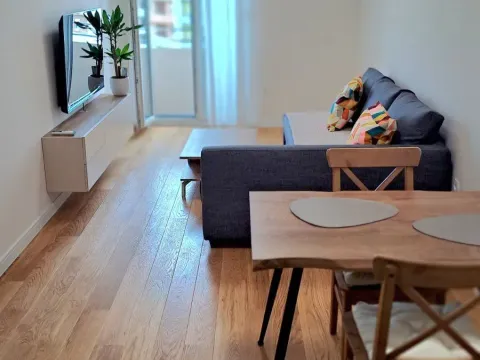 Izdavanje, jednosoban stan, 41m², Central Point, Podgorica - image 5