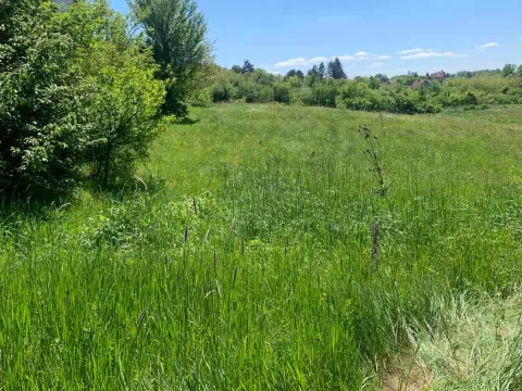 Prodaja, plac, 5000m², Vrbovno, Lazarevac - image 5
