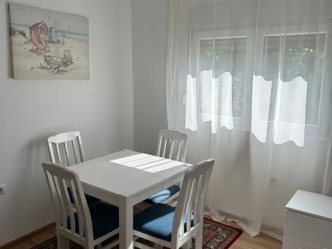 Rent, one bedroom apartment, 52m², Stari Aerodrom, Podgorica - image 3