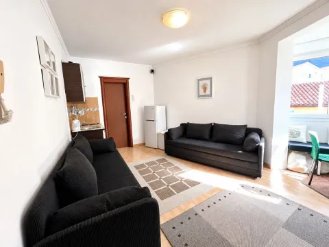 Living room with two dark sofas, a small corner kitchen, and access to the terrace. - image 2