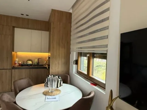 Izdavanje, jednosoban stan, 47m², Zagorič, Podgorica - image 7