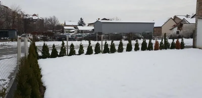 Sale, house, 280m², Telep, Novi Sad Sve Podlokacije
