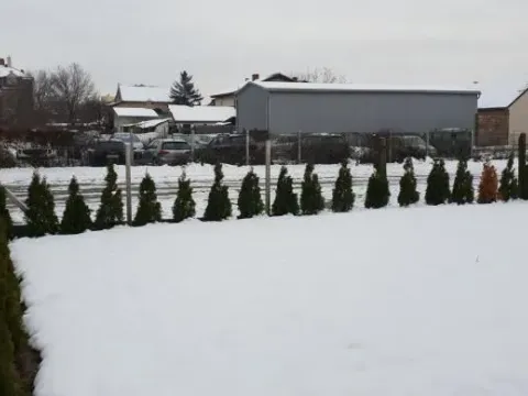 Prodaja, kuća, 280m², Telep, Novi Sad Sve Podlokacije - image 26