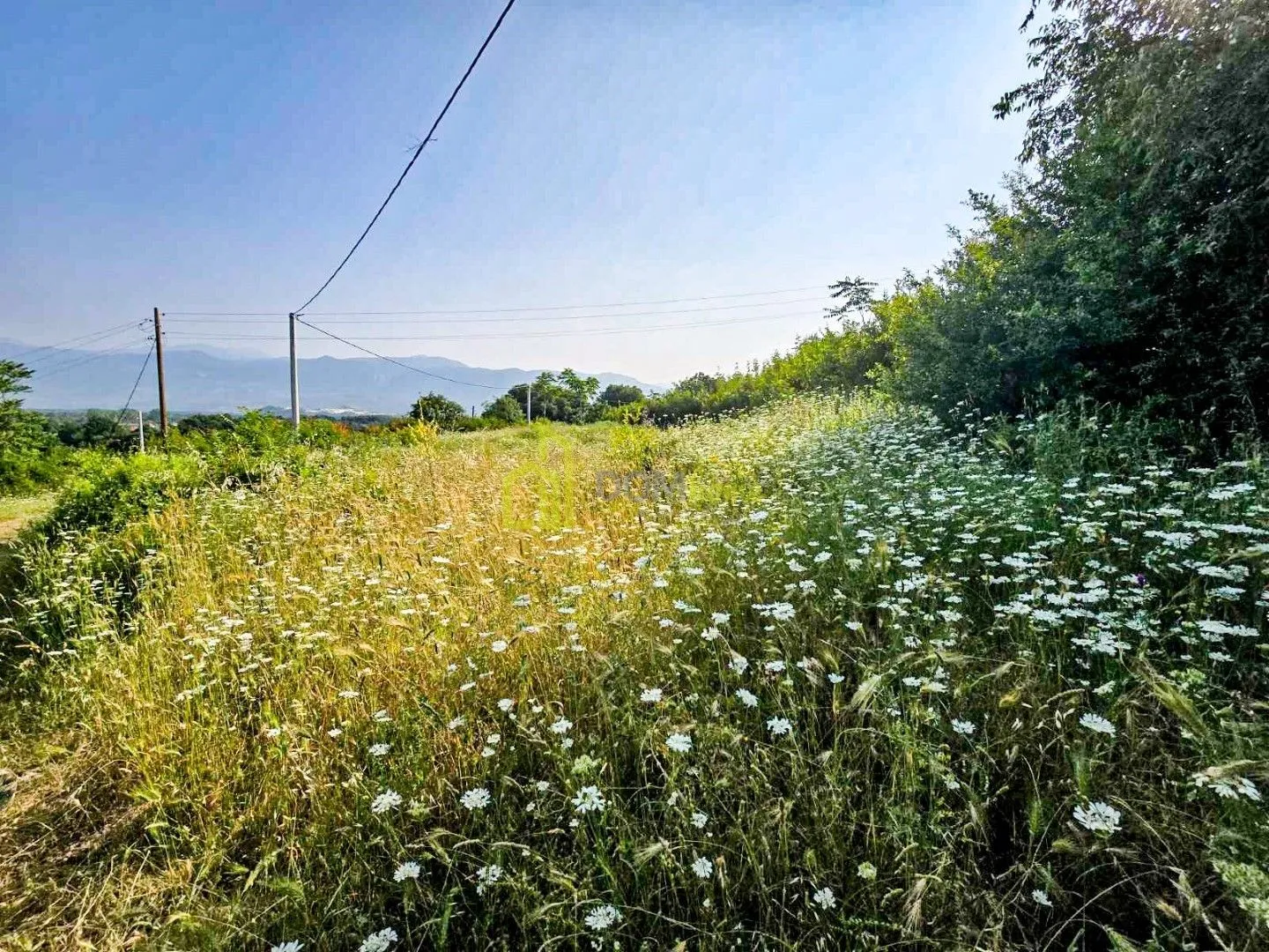Prodaja, plac, 3000m², Novo Selo, Danilovgrad