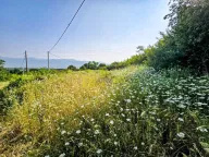 Sale, land lot, 3000m², Novo Selo, Danilovgrad - image 5