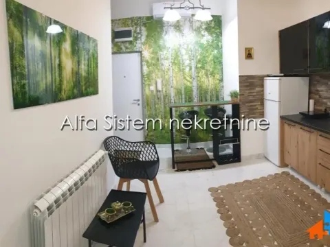 Izdavanje, stan, 40m², Stari Grad, Beograd - image 3