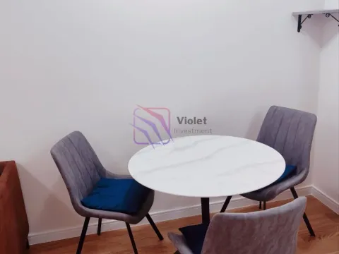 Izdavanje, jednosoban stan, 40m², Central Point, Podgorica - image 5