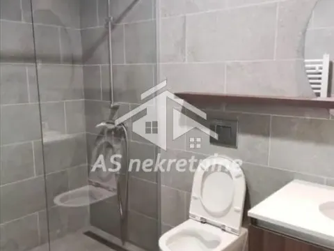 Izdavanje, dvosoban stan, 59m², Savski Venac, Beograd - image 13