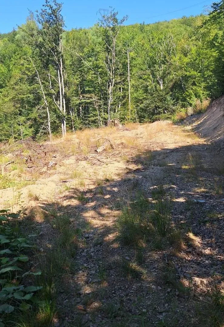 Prodaja, plac, 500m², Kolašin, Crna Gora
