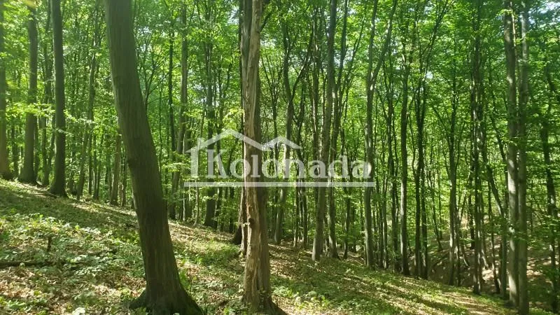 Prodaja, plac, 15600m², Sopot, Beograd